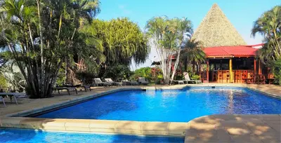a large swimming pool in a resort with palm trees at Guacamaya Lodge in Paraíso