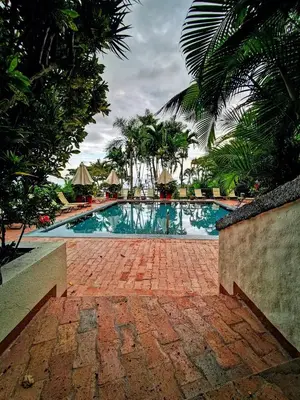 a swimming pool in a resort with palm trees at Hotel Costa Verde in Manuel Antonio