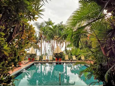 a swimming pool with palm trees and chairs at Hotel Costa Verde in Manuel Antonio
