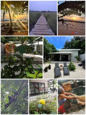 a collage of photos with a tree and a boardwalk at EcoVillas Las Melinas in Playa Avellana