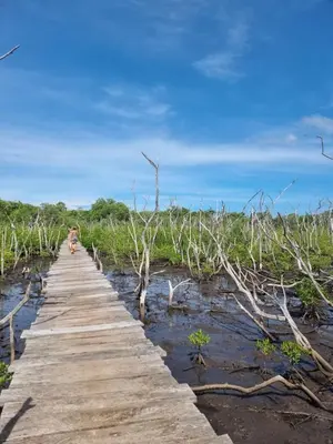 a person walking on a wooden bridge over water at EcoVillas Las Melinas in Playa Avellana