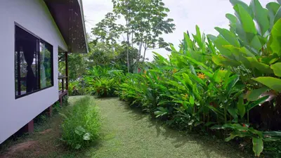 a garden with green plants next to a building at Eden Corcovado in San Pedrillo