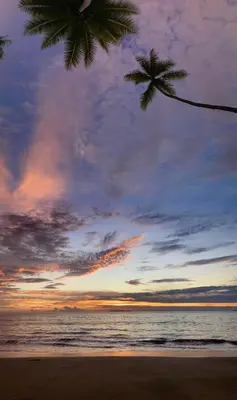 a sunset on the beach with two palm trees at Eden Corcovado in San Pedrillo