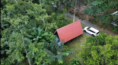 a car parked in front of a house in the forest at Toku in Fortuna