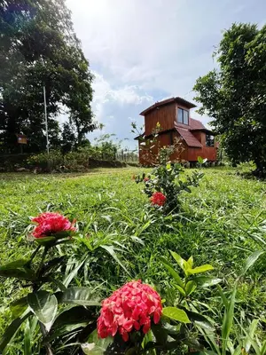 a house in the middle of a field with flowers at Myra Chalets in Bijagua