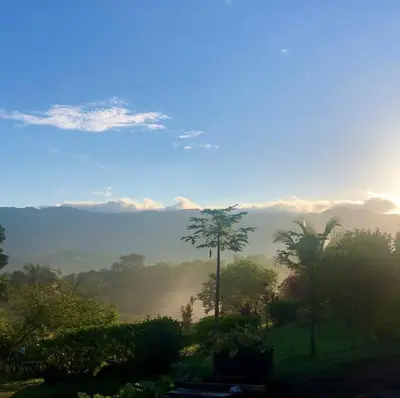 a view of a misty valley with palm trees at Luxury Villa Carao - Serene Amazing Views at Finca Chilanga in San Mateo