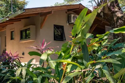 a house behind some green plants at Feeling Trees Jungle Lodge in Cabuya