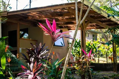 a pink flower in front of a house at Feeling Trees Jungle Lodge in Cabuya