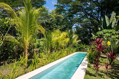 a swimming pool in a garden with palm trees at Feeling Trees Jungle Lodge in Cabuya