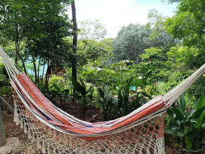 a hammock in the middle of a forest at Cabañas Los Jobos in Villarreal