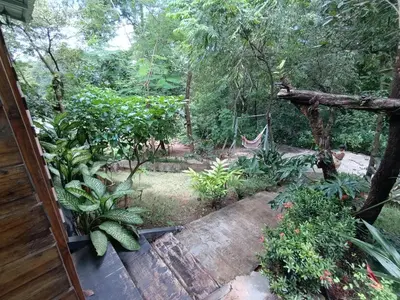 an outside view of a garden with plants and trees at Cabañas Los Jobos in Villarreal