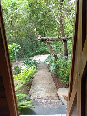 a door open to a path in a garden at Cabañas Los Jobos in Villarreal