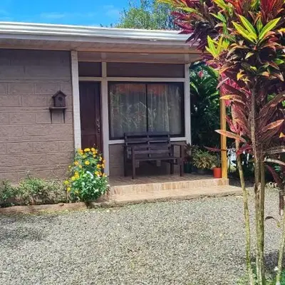 The Bees House