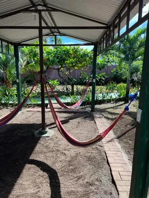 a couple of hammocks in a pavilion at Tortuguero Hill Rooms in Tortuguero