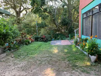 a yard with flowers next to a house at Globi Lodge #5 in Monteverde Costa Rica