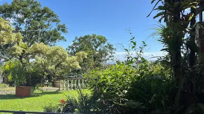 a garden with plants and trees on a sunny day at Botanica Gardens and Eco Lodge in San Gerardo