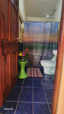 a bathroom with a toilet and a vase of flowers at YETHAN HOUSE in Uvita