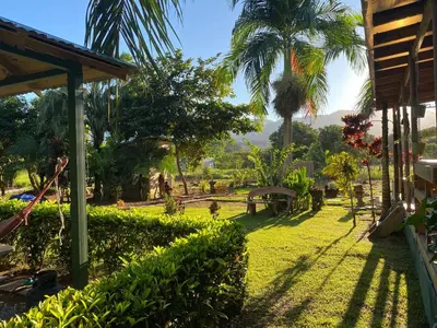 a garden with a palm tree and a house at Uvita Oasis Retreat with Villa Apt Bungalows Cabin in Uvita