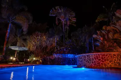 a swimming pool at night with palm trees at Luxury Villa and Bungalows in Fortuna