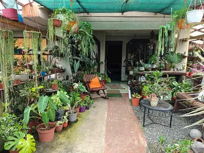 a room filled with lots of potted plants at Casa Maranta in San Miguel