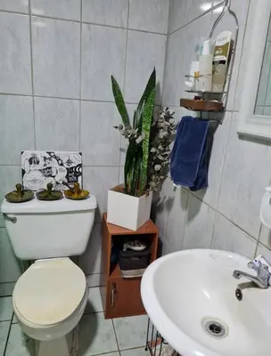 a bathroom with a toilet and a sink and a plant at Casa Maranta in San Miguel