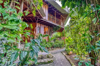 a house in the middle of a forest at Hotel Amor de Mar in Montezuma