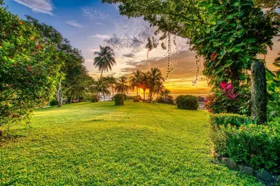 a park with palm trees and a field of grass at Hotel Amor de Mar in Montezuma