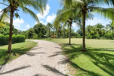 a path in a park with palm trees at Stunning Gated Property with a Lush Garden, Wrap-Around Terrace & Private Pool in Potrero