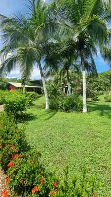 two palm trees in a park with grass and flowers at Hotel Hacienda Angeles in Paraíso
