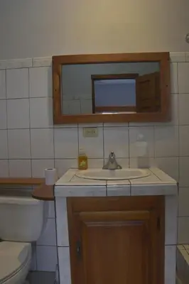 a bathroom with a sink and a mirror and a toilet at Organic Garden in San José