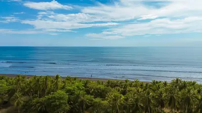 a view of the ocean from a beach with palm trees at La Casa de Papi. in Parrita