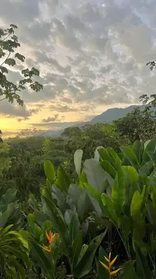 a view of a field of trees with the sunset at Sharma Costa Rica- Mimosa Casita in Uvita