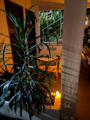 a potted plant sitting next to a table with a candle at Casa y Cabaña Jaguar Tortuguero in Tortuguero