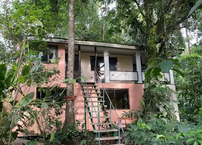 a pink house with a staircase in a forest at Casa y Cabaña Jaguar Tortuguero in Tortuguero