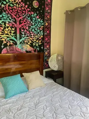 a bedroom with a bed with a painting on the wall at Apartamento con Terraza y Vista al Jardín in Uvita