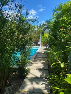 a garden with a swimming pool and some plants at Beautiful studio-apartment near the beach in Uvita