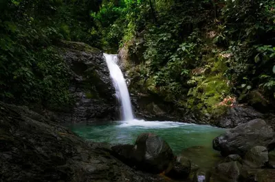 a waterfall in the middle of a forest at Beautiful studio-apartment near the beach in Uvita