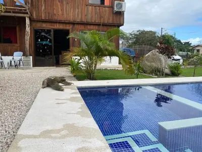 a bear sitting next to a swimming pool at Cabañas Litos #2 in Fortuna