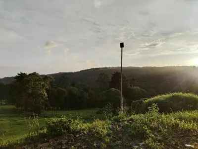 a pole in the middle of a field at Cabaña Indira in Monteverde Costa Rica