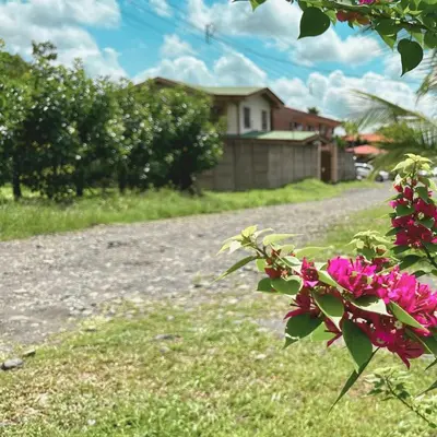 a dirt road with pink flowers in front of a house at Cabañas Litos #1 in Fortuna