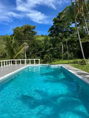 a large blue swimming pool with trees in the background at Finca Mango - 40 acre paradise in Roble