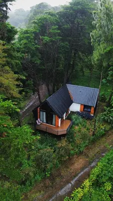 a small house in the middle of a forest at Les Chalets Costa Rica in Zarcero