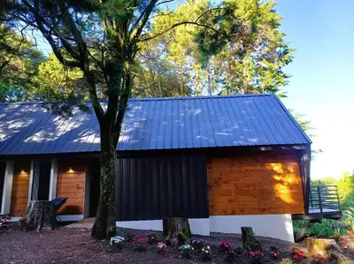 a cabin with a blue roof and a tree at Les Chalets Costa Rica in Zarcero