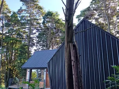 a black house with a tree in front of it at Les Chalets Costa Rica in Zarcero