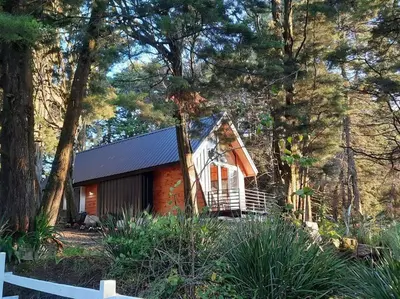 a small cabin in the woods with trees at Les Chalets Costa Rica in Zarcero