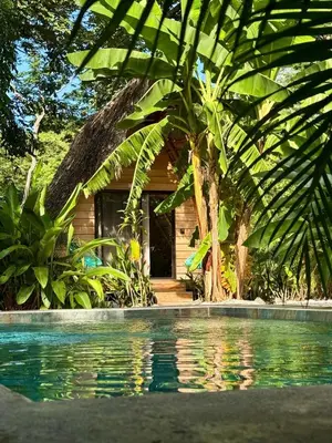 a house with a palm tree next to a swimming pool at Cabinas de Lou Eco Lodge TAMARINDO do not book, under maintenance in Santa Rosa