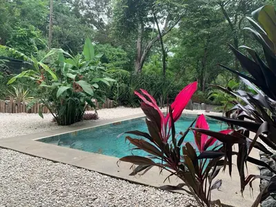 a swimming pool in the middle of a garden at Cabinas de Lou Eco Lodge TAMARINDO do not book, under maintenance in Santa Rosa