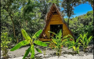 a small house in the middle of a forest at Cabinas de Lou Eco Lodge TAMARINDO do not book, under maintenance in Santa Rosa