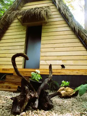 a small house with a tree stump in front of it at Cabinas de Lou Eco Lodge TAMARINDO do not book, under maintenance in Santa Rosa