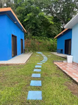 a walkway in a yard next to a blue building at POSADA MIRADIA in Matapalo